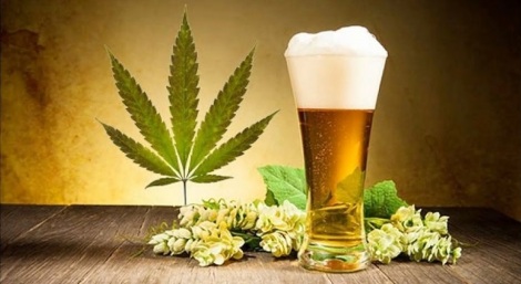 gallery/weed+beer3jpg